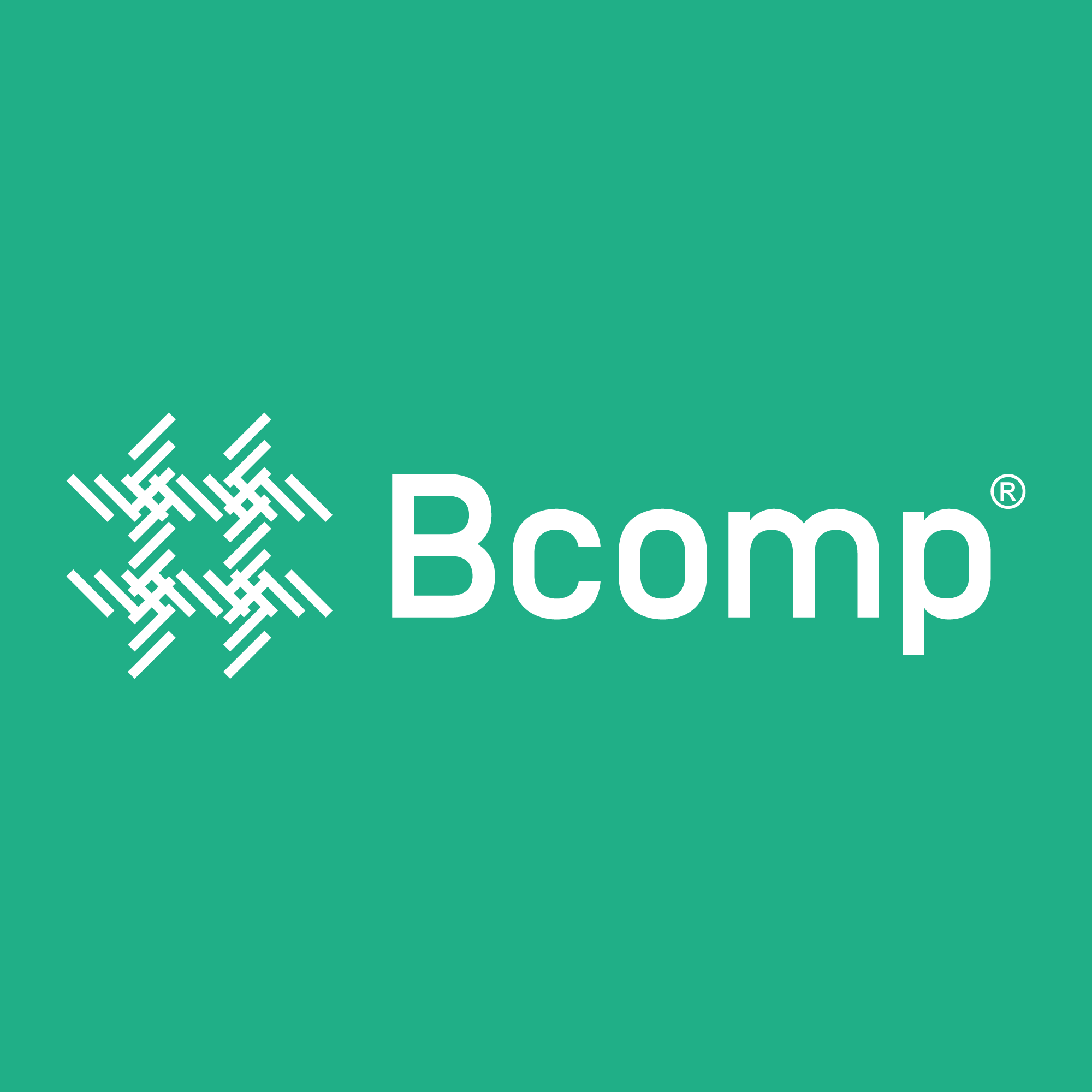 Motorsport-Speaker-Bcomp
